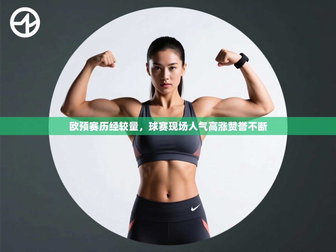 欧预赛历经较量,球赛现场人气高涨赞誉不断 第1张