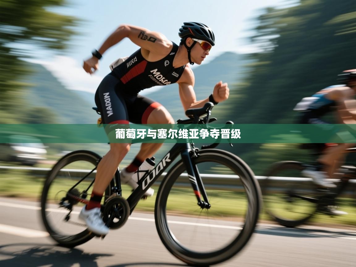 葡萄牙与塞尔维亚争夺晋级 第2张