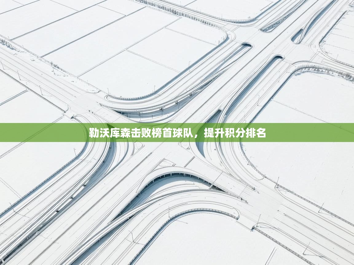 勒沃库森击败榜首球队，提升积分排名  第1张