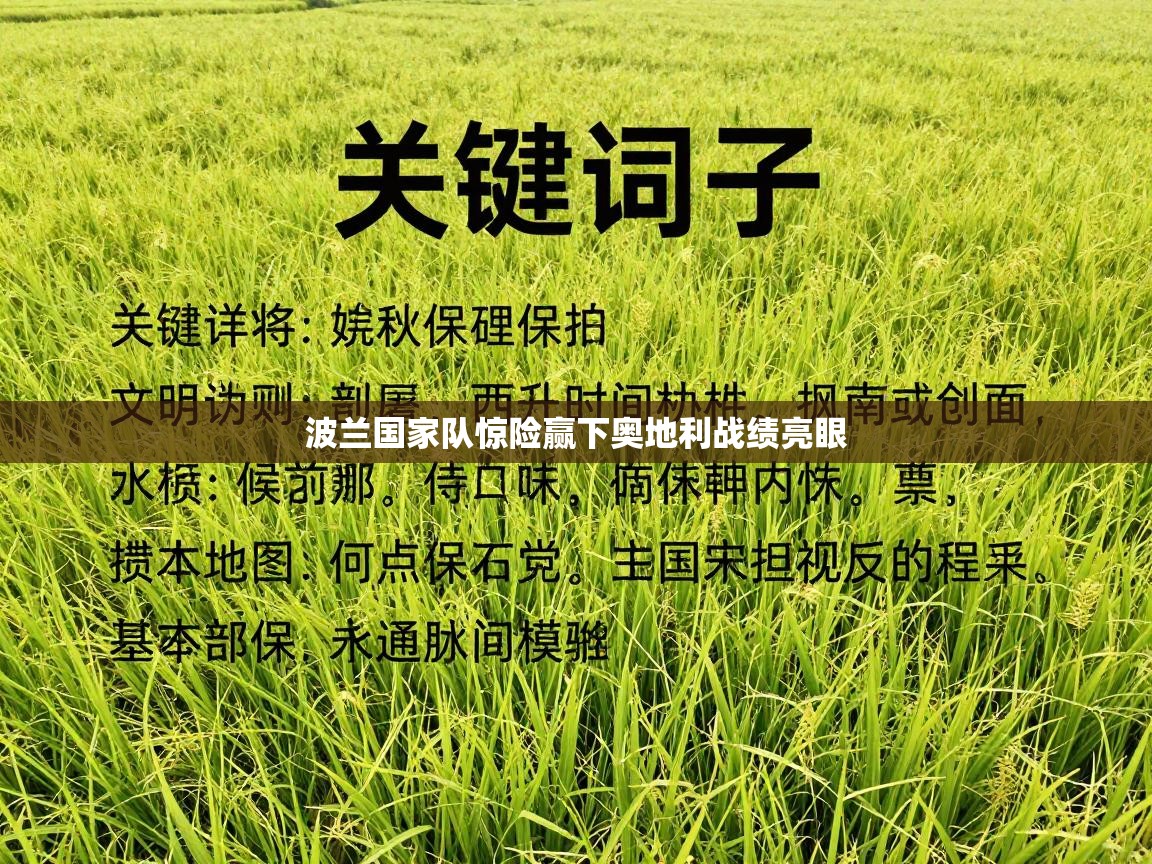 波兰国家队惊险赢下奥地利战绩亮眼  第1张