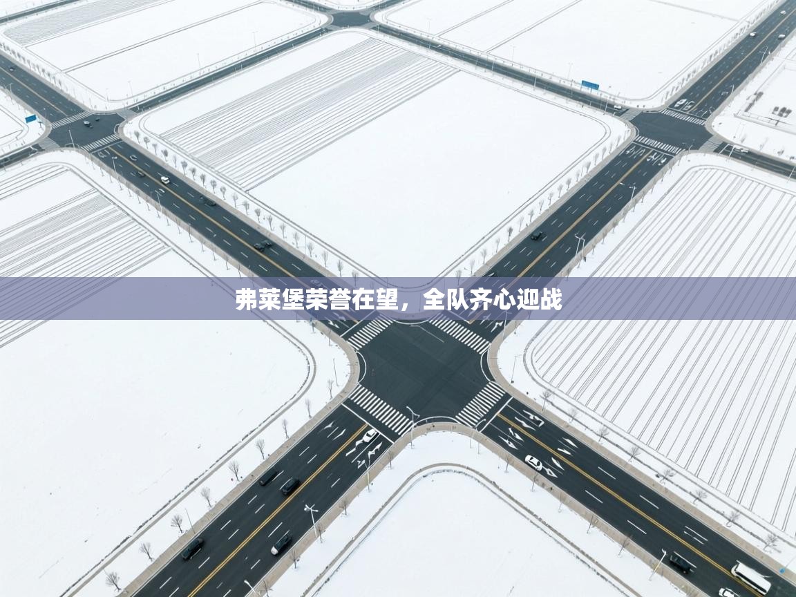 弗莱堡荣誉在望，全队齐心迎战  第1张