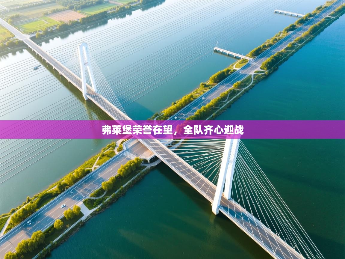 弗莱堡荣誉在望，全队齐心迎战  第2张