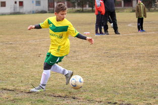 澳亚国际公司官网-蒙特雷训练基地开放，备战世俱杯进入冲刺阶段